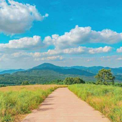 ManBetX客户端登录手机app下载