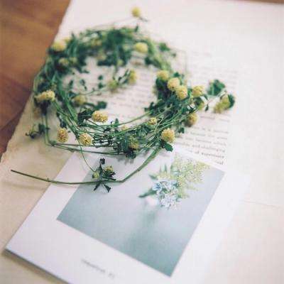 全民彩票app官网版下载