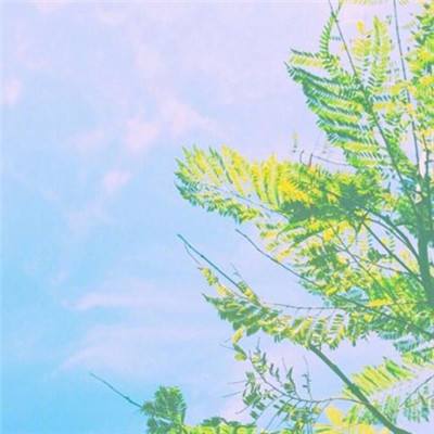 澳门银银河官方网welcomeapp下载