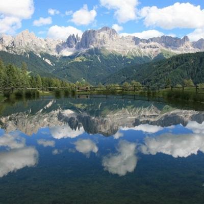 雷火亚洲电竞平台官网