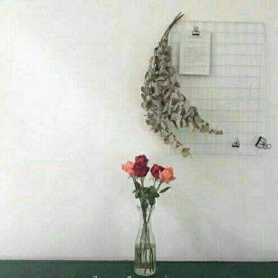 亚博BOB体育下载