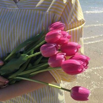 BET9登录APPapp下载